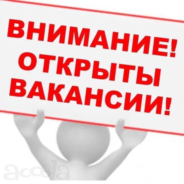 Менеджер-координатор подработка